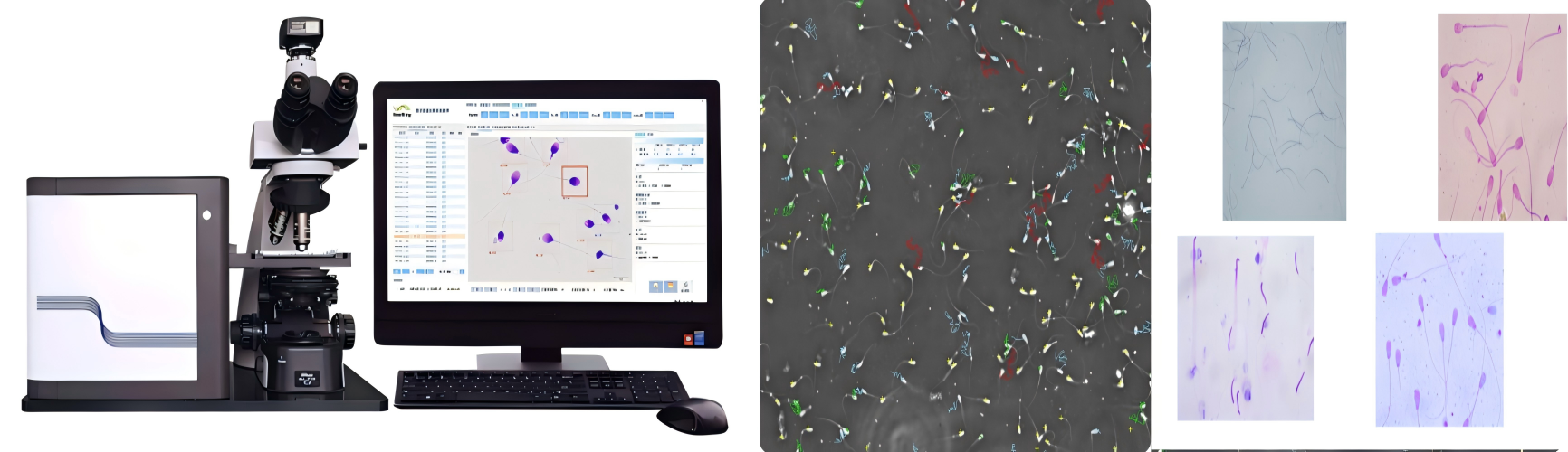 animal breeding reproductive genetics casa sperm analyzer software system